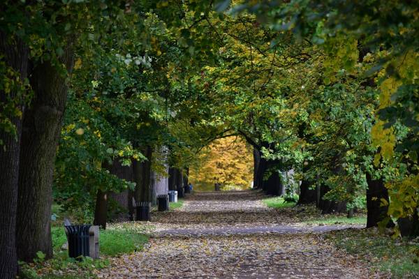 Zdjęcie: Ogród Botaniczny w Łodzi