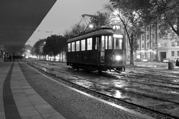 Zdjęcie: FOKAL-BIS - centrum fotografii