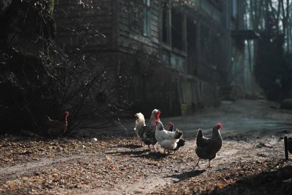 Zdjęcie: FOKAL-BIS - centrum fotografii